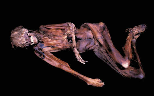 Cultural heritage has a lot to teach us about climate change: Pazyryk male mummy with preserved hair and shoulder tattoos.