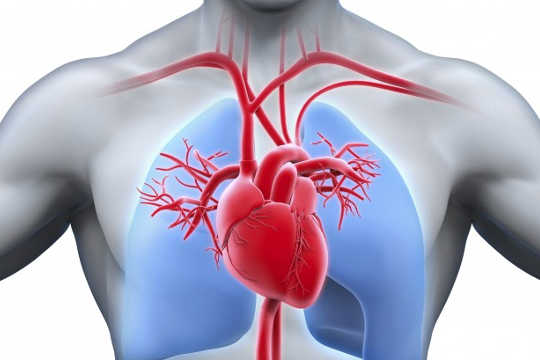 Why 90% Of Heart Guidelines Aren’t Based On Best Evidence
