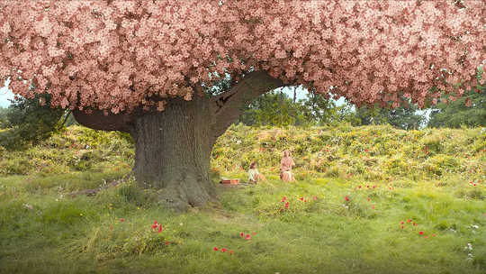 A scene from the new movie version of the book.  (guide to the classics the secret garden and the healing power of nature)